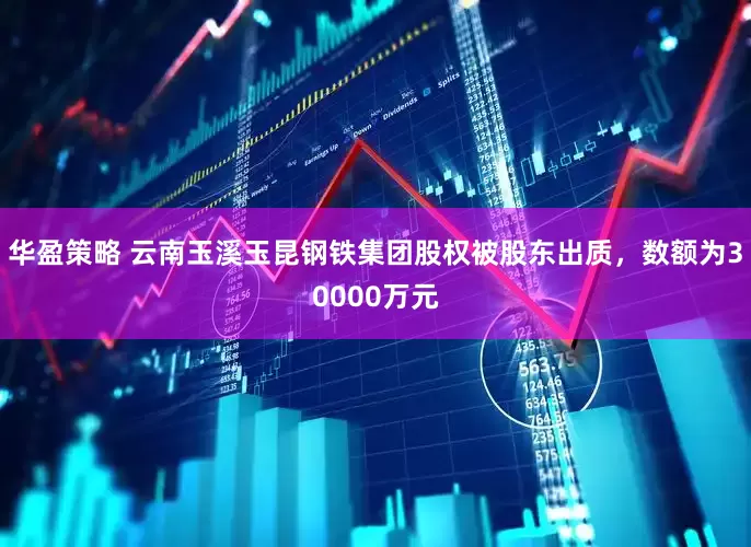 华盈策略 云南玉溪玉昆钢铁集团股权被股东出质，数额为30000万元